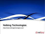 Digital Marketing Company In India | Netking Technologies