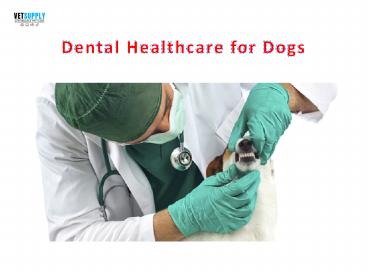 Dental Healthcare Dogs | VetSupply | Australia Best online Pet store