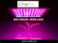 best indoor grow light PowerPoint PPT Presentation