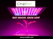 best indoor grow light