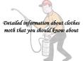Detailed information about clothes moth that you should know about PowerPoint PPT Presentation