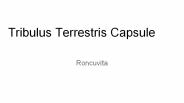 Tribulus Terrestris Capsule