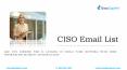 CISO Email List - C Level Executives Data Providers PowerPoint PPT Presentation