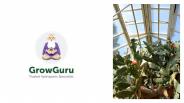 Grow Guru