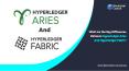 What distinguishes Hyperledger Fabric from Hyperledger Aries? PowerPoint PPT Presentation