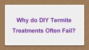 Why do DIY Termite Treatments Often Fail
