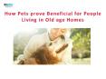 How Pets Prove Beneficial for People Living in Old Age Homes | VetSupply | Australia Best online Pet store PowerPoint PPT Presentation