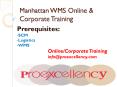 Proexcellency   provide Manhattan WMS  online  training by Subject Matter Expert Program PowerPoint PPT Presentation