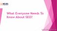 What Everyone Needs To Know About SEO PowerPoint PPT Presentation