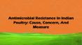Antimicrobial Resistance In Indian Poultry: Cause, Concern, And Measure (1) PowerPoint PPT Presentation