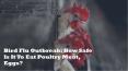 Bird Flu Outbreak: How Safe Is It To Eat Poultry Meat, Eggs? (1) PowerPoint PPT Presentation