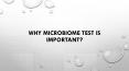 Why Microbiome Test is important? PowerPoint PPT Presentation