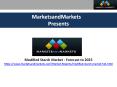 Modified Starch Market |Growth, Size, Share and Industry Forecasts upto 2025 PowerPoint PPT Presentation