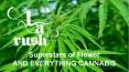 Cannabis Delivery Agoura Hills - LA Rush PowerPoint PPT Presentation