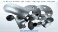 A Brief Guide For Pipe Fittings and Flanges PowerPoint PPT Presentation