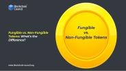 What's the difference, fungible and not fungible tokens