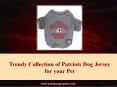 Trendy Collection of Patriots Dog Jersey for your Pet PowerPoint PPT Presentation