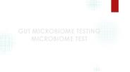 Gut Microbiome Testing | Microbiome Test
