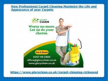 How Professional Carpet Cleaning Maximize the Life