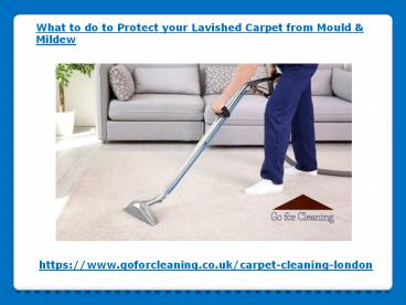 What to do to Protect your Lavished Carpet from Mould