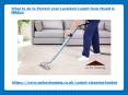 What to do to Protect your Lavished Carpet from Mould PowerPoint PPT Presentation