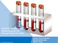 Blood Culture Test Market PPT: Trends and Dynamics, Drivers, Competitive landscape and Future Opportunities PowerPoint PPT Presentation
