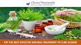 Try the Best Effective Natural Treatment to Cure Eczema PowerPoint PPT Presentation
