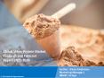 Whey Protein Market PPT: Top Companies, Trends and Future Details for Business Opportunity PowerPoint PPT Presentation