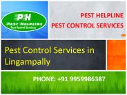 Pest Control Services in Lingampally