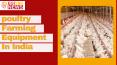Poultry Farm Equipment Manufacturers & Suppliers | Egiyok News (2) PowerPoint PPT Presentation