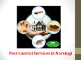 Pest Control Services in Narsingi PowerPoint PPT Presentation