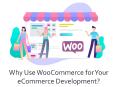 Why Use WooCommerce for Your eCommerce Development?