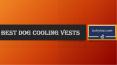 Best Dog Cooling Vests PowerPoint PPT Presentation