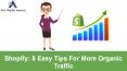 Shopify_ 5 Easy Tips for More Organic Traffic (1) PowerPoint PPT Presentation