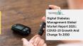2021 Digital Diabetes Management Market Size, Growth, Drivers, Trends And Forecast PowerPoint PPT Presentation