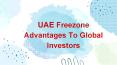 UAE Freezone Advantages To Global Investors PowerPoint PPT Presentation