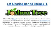 Lot Clearing Bonita Springs FL