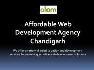 Affordable Web Development Agency Chandigarh