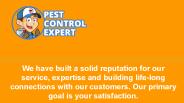 Affordable Pest Control Services - Pest Control Expert