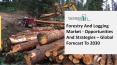 Forestry And Logging Market Size, Growth, Trends and Research Analysis by TBRC PowerPoint PPT Presentation