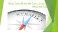 What Does Business Consultant Do |Michael Ruge PowerPoint PPT Presentation