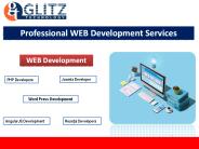 Professional WEB Development Services in India.