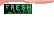 Learn Everything about Lawn Mowing