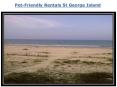 Pet-Friendly Rentals St George Island PowerPoint PPT Presentation