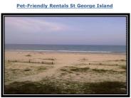 Pet-Friendly Rentals St George Island