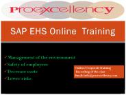SAP EHS online training