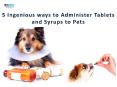 5 Ingenious Steps to Administer Tablets and Syrups to Your Dog| VetSupply | Australia Best online Pet store PowerPoint PPT Presentation