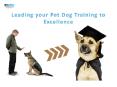 Leading Your Pet Dog Training To Excellence| VetSupply | Australia Best online Pet store PowerPoint PPT Presentation
