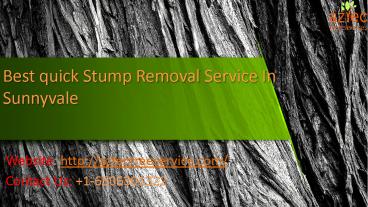 Best Quick Stump Removal Service In Sunnyvale