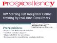 IBM-STERLING-B2B-ONLINE-TRAINING PowerPoint PPT Presentation
